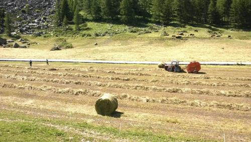 La Ferme Du Grand Paradis 