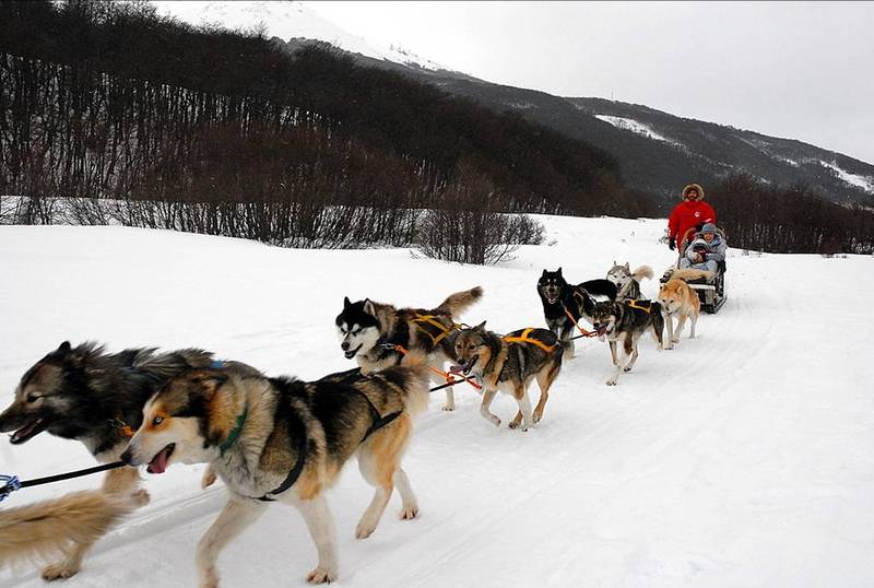 Los Cauquenes Resort & Spa Sports and Entertainment