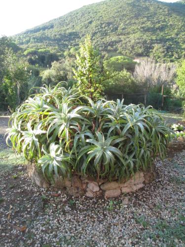 Agriturismo Amandolo 