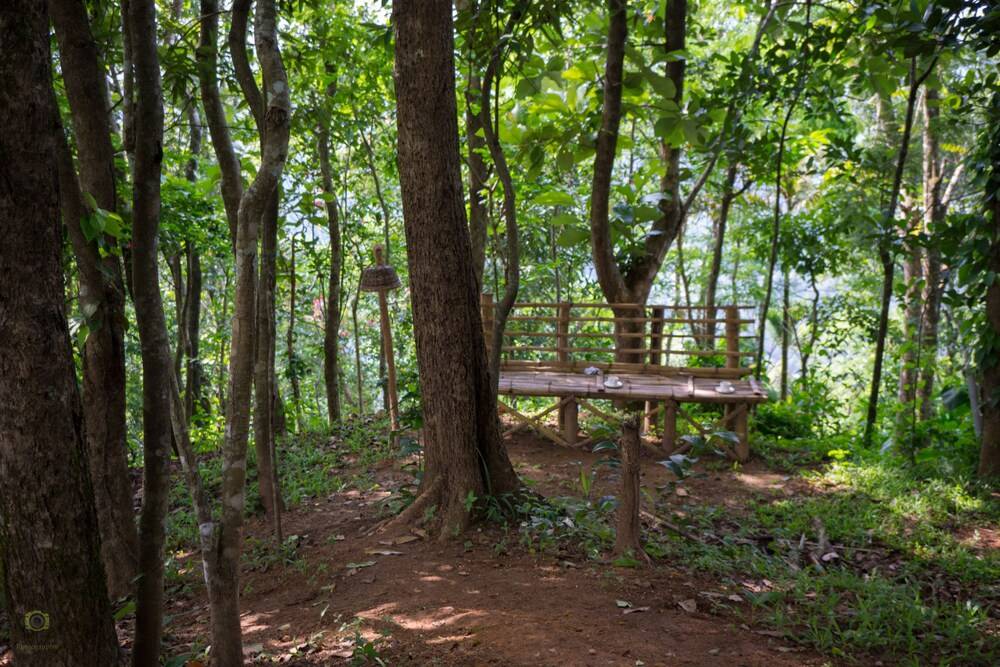 Season7 Nature Resort Property Grounds