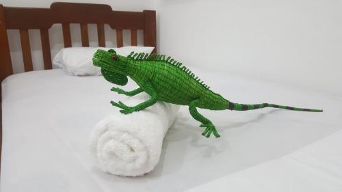 Iguana Haus 