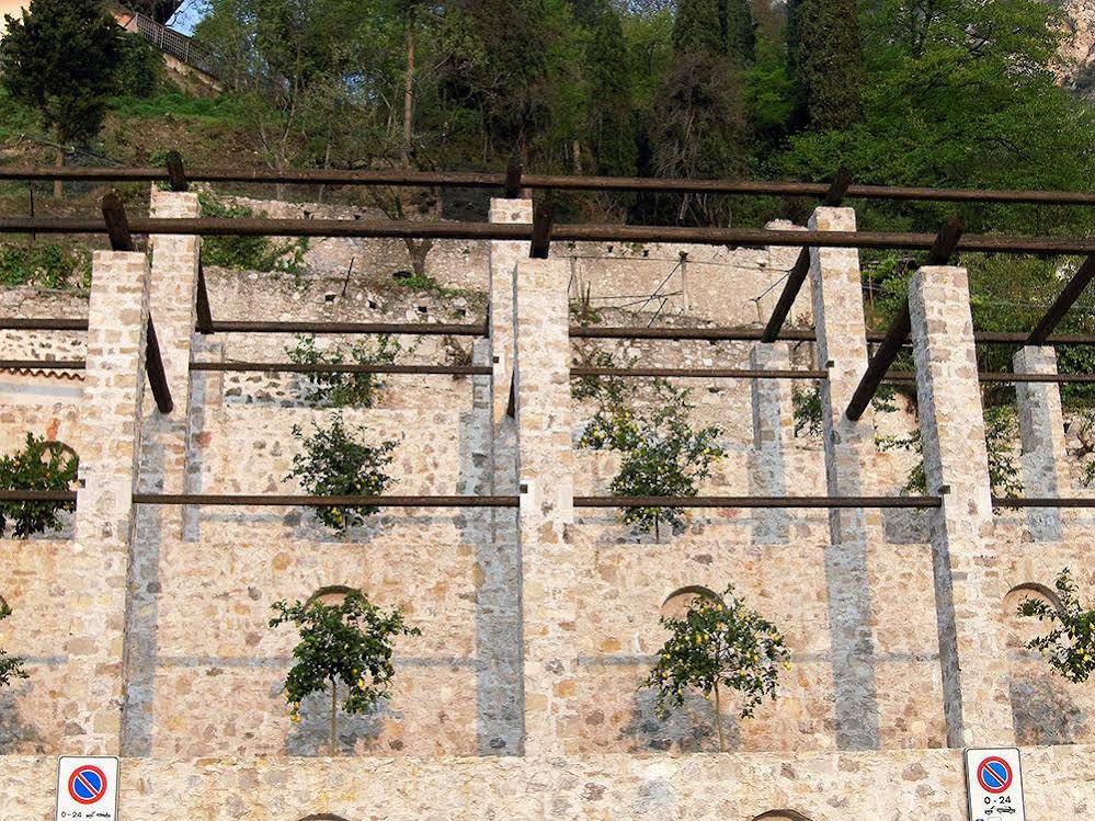 Hotel Locanda Ruscello Garnì 