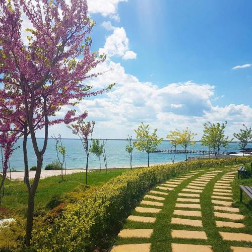 Beach Apartment Krasi Hotel Description