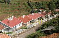 Fortune Retreats 