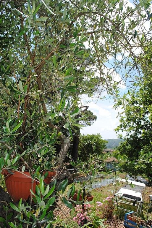 Agriturismo L'antico Cerro 