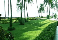 Hawaii The Sea Side Village Retreat 