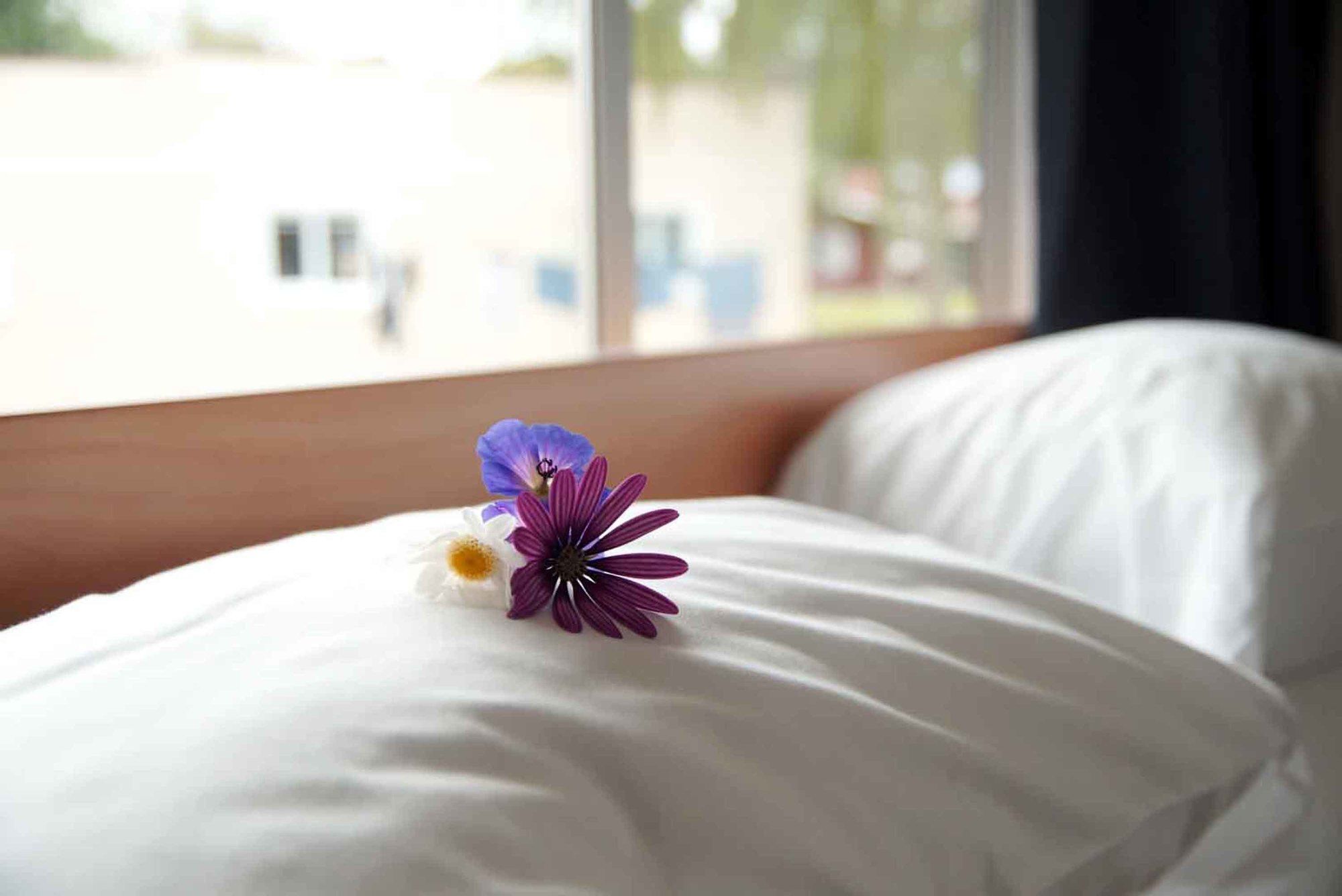 Whanganui River Top 10 Holiday Park 