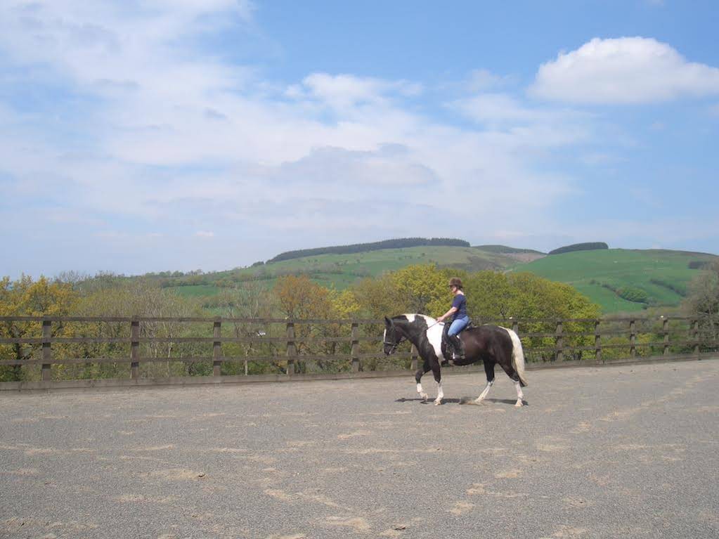 Gwarllwyn 