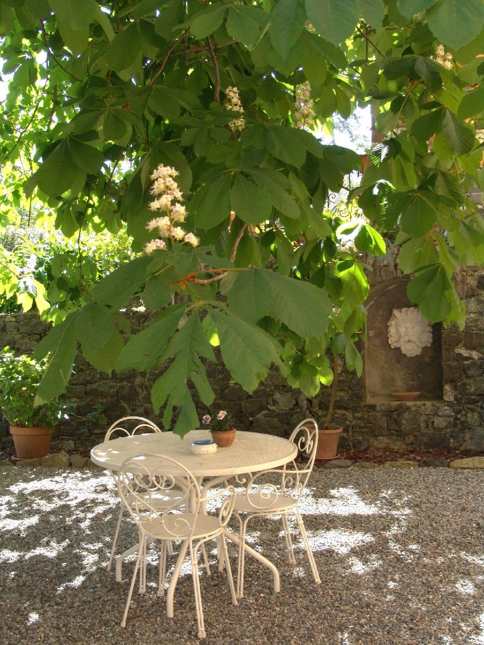 Agriturismo Villanova 