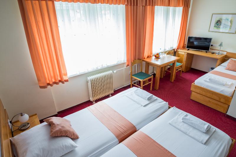 Hotel Tabor (هتل تابور) Room