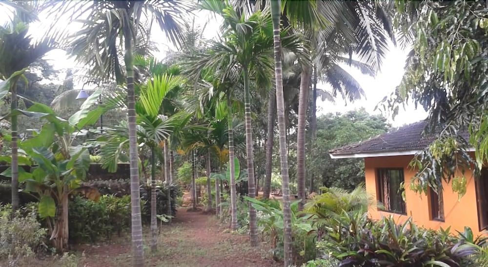 Farmagudi Hill Retreat 