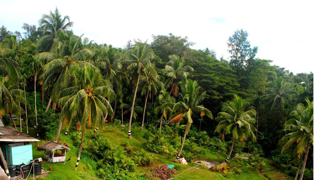 Andaman Galley 
