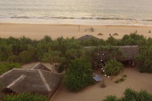 Jungle Beach Camp 