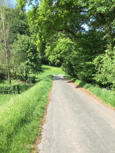 Ferienhaus Taunus Ii 