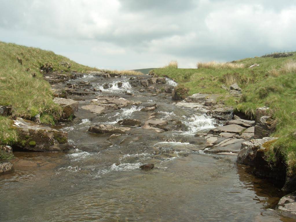 Gwarllwyn 