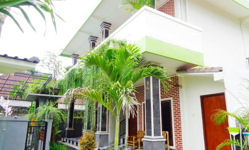 Pucuk Merah 51 