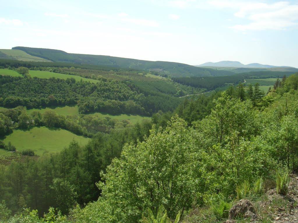 Gwarllwyn 