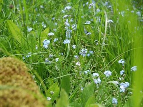 Land Und Leute 