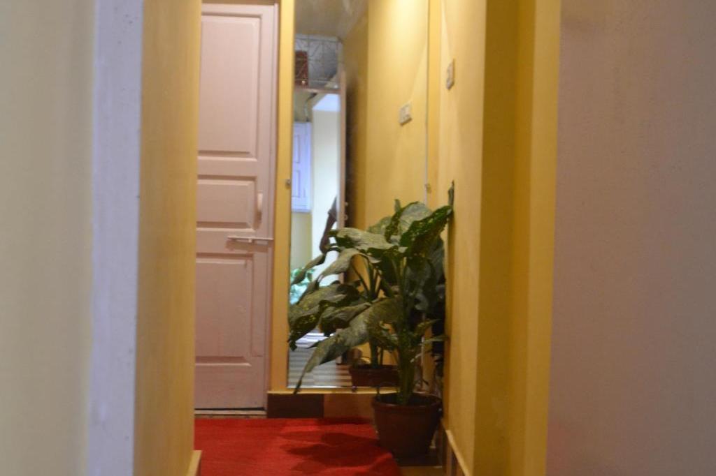 Tara Guest House 