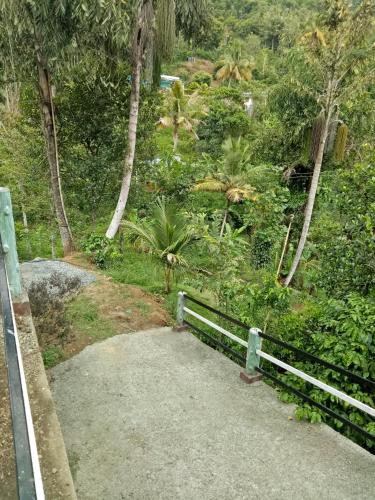 7 Treez Munnar 