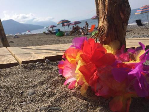 Villammare Residence 