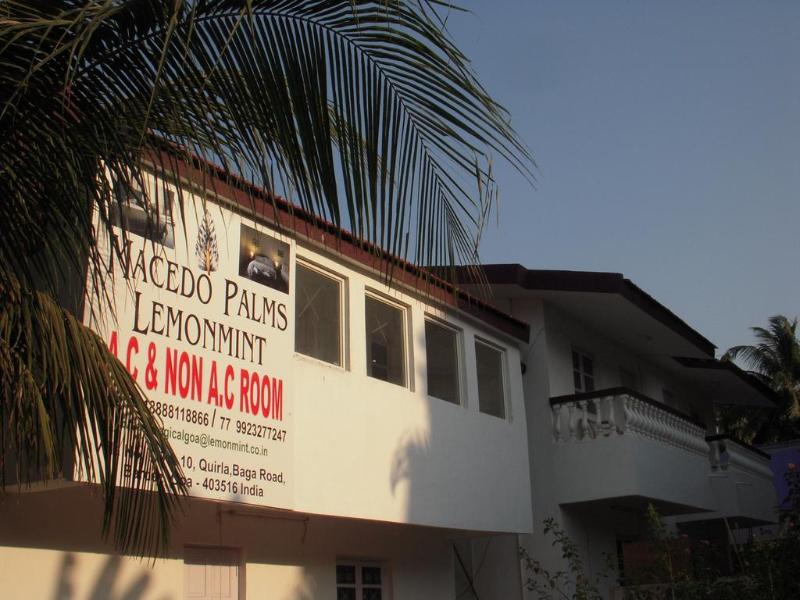 Macedo Palms Lemonmint General view