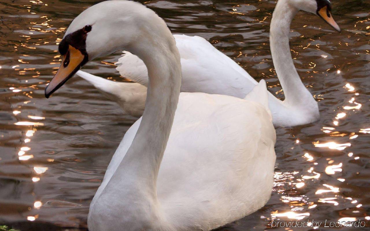 Embassy Suites Houston Near The Galleria 