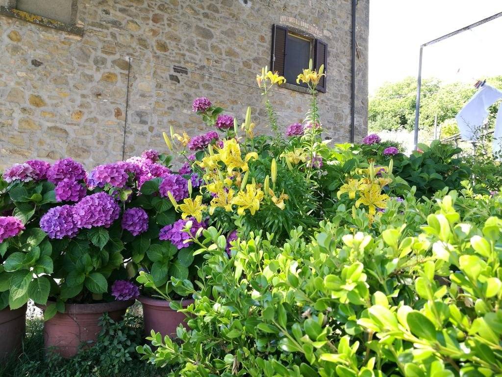 I Castagnini 