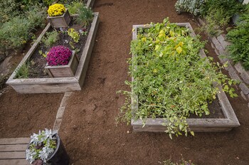 6 Luxurious 6br Seattle Home Garden
