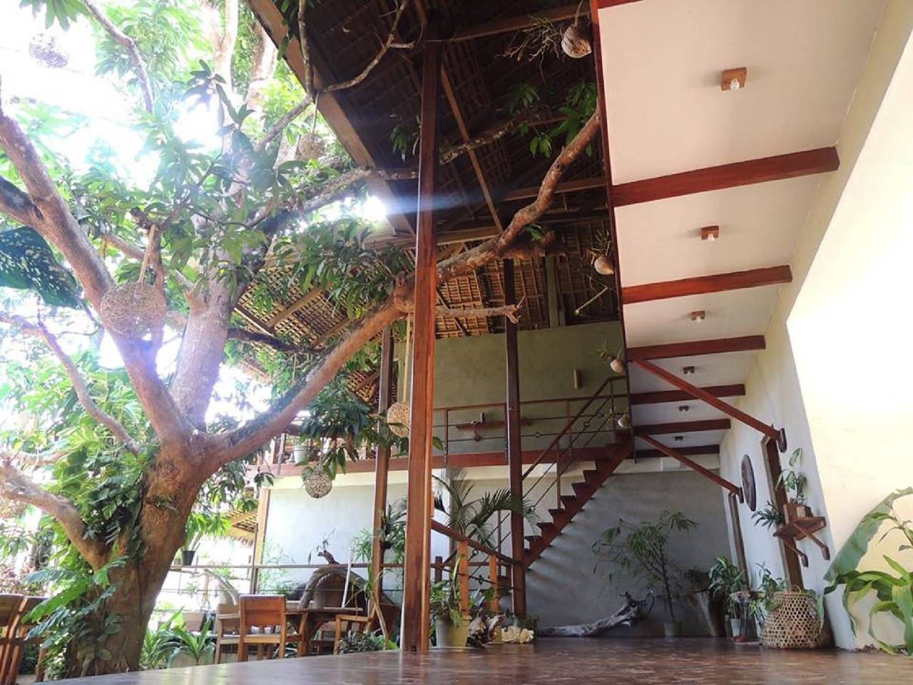Bluemango Rooms & Villas 