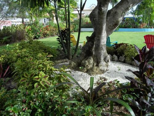Palm Garden Hotel 