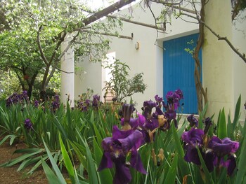 Li Spiri Bed & Breakfast Garden