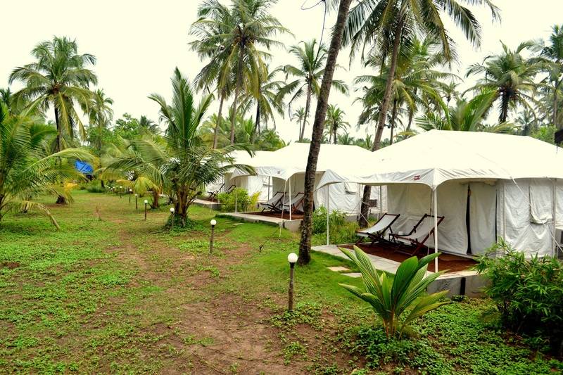 Montego Bay Beach Village Room