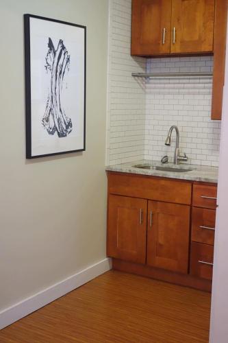 Boston Huge 1 Br Best Location 