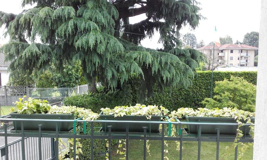 Affittacamere Giudici 