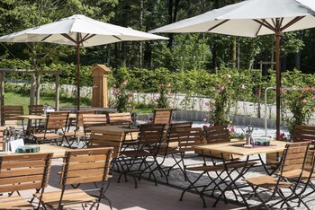 Pension Waldruhe Terrace/Patio
