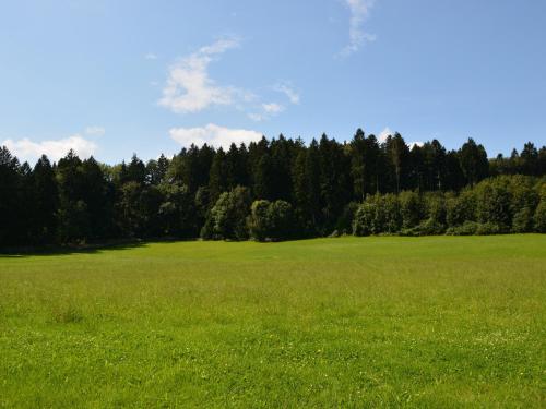 Ferienwohnung Hoherting (فرینووهنونگ هوهرتینگ) 