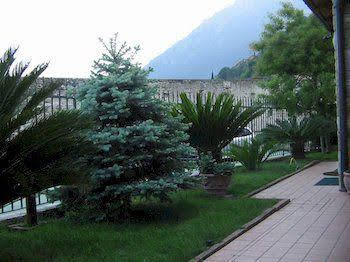 B&b Villa Fior Di Loto 