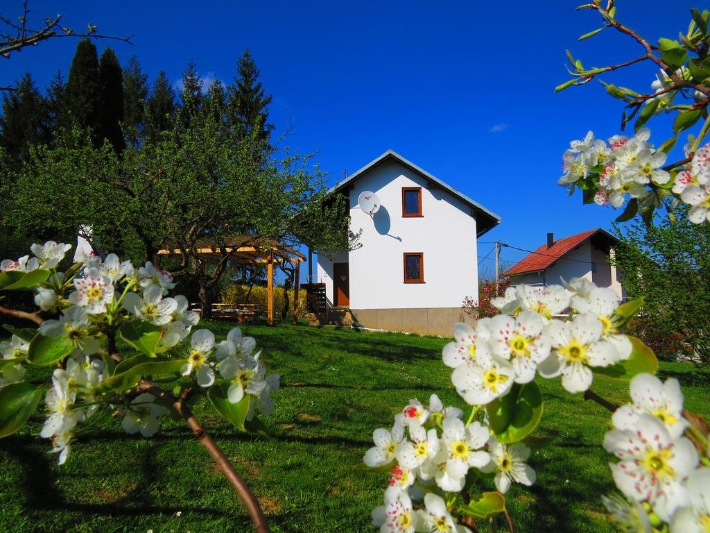 House Wisteria (هاوس ویستریا) 