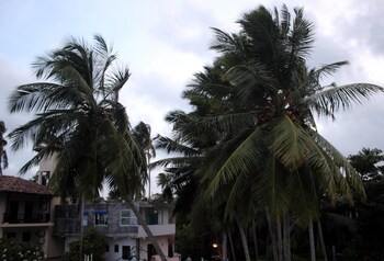 Bedspace Beach View from Hotel