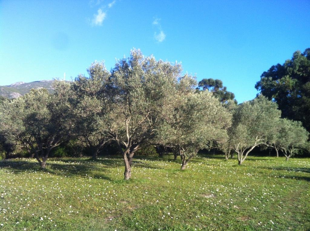 Les Jardins De Foata 