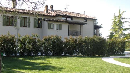 Fontepino 