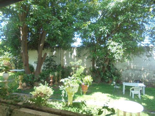 Zebra Guest House 