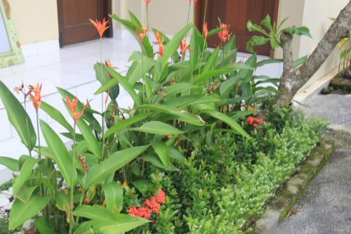 Arya Guest House 