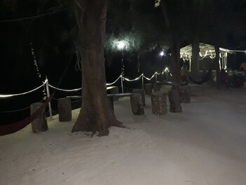 Moonlit Sands 