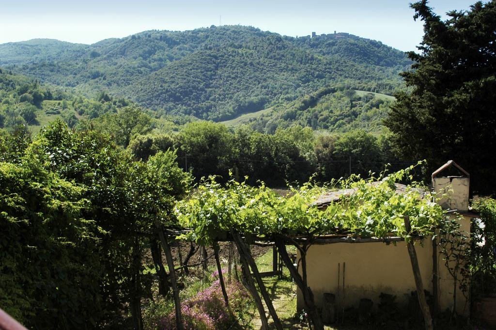 Podere Santa Maria (پودر سانتا ماریا) 