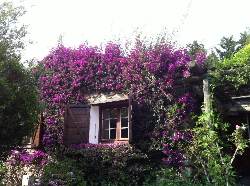 Les Jardins De Foata 