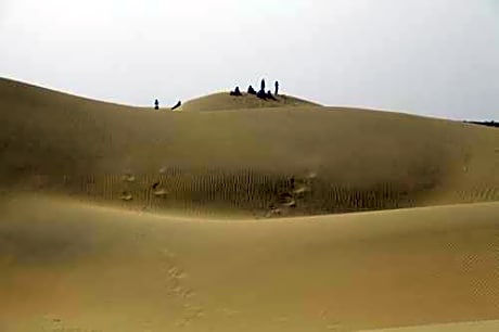 Hotel Desert Memories 
