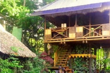 The Lotus Garden Suites 