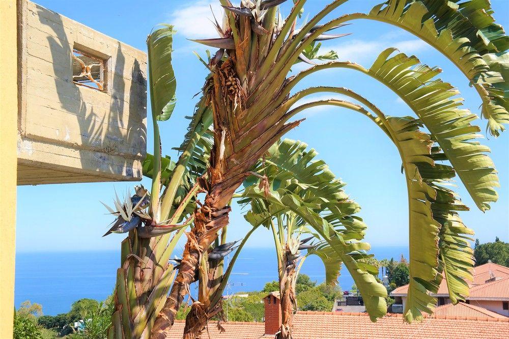 Villa Alba 